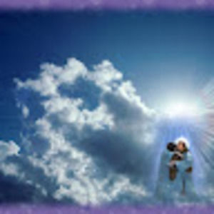 Meet your Posher, Betty